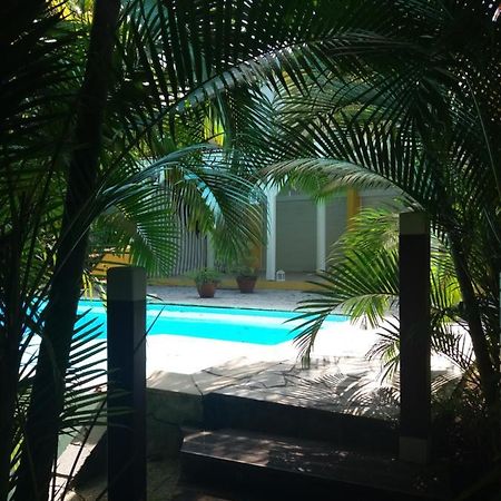 Chambre D'Hote Et Loft Dans Maison De Charme Piscine A Debordement La Villa Gialla Schoelcher Εξωτερικό φωτογραφία