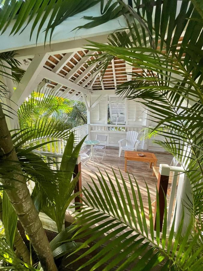 Chambre D'Hote Et Loft Dans Maison De Charme Piscine A Debordement La Villa Gialla Schoelcher Εξωτερικό φωτογραφία