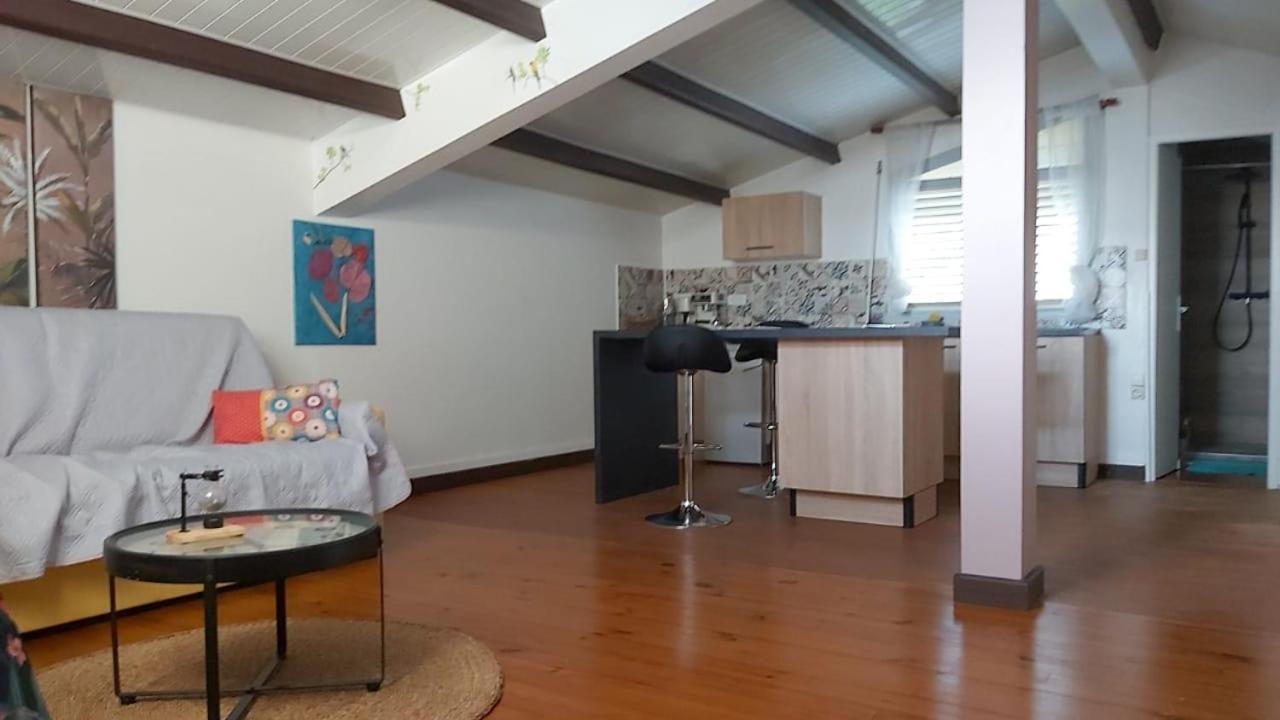 Chambre D'Hote Et Loft Dans Maison De Charme Piscine A Debordement La Villa Gialla Schoelcher Εξωτερικό φωτογραφία